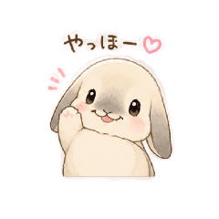 komugi_20260504201156