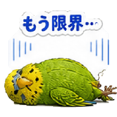 mamiko_20260504195939