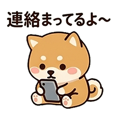 A usable Shiba Inu