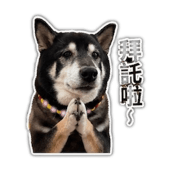 盧卡狗兒