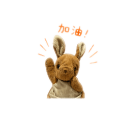 我最可愛的