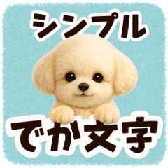 Large letters for everyday use-ToyPoodle
