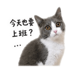 Oni小貓咪的日常-不想上班 系列