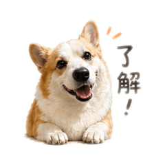 阿皮日常用語