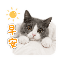Oni小猫咪的日常-生活用語 系列