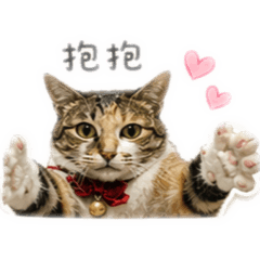 噠咩可愛生活⸱ ☆♡  ₊⁺