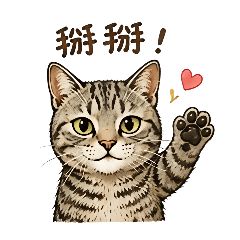 阿喵的問侯