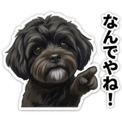 aichan_20260504125242