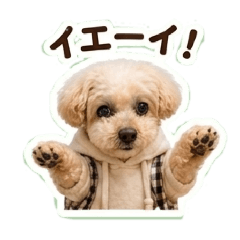 ezoten_20260504130230