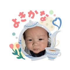 nori_20260504203057