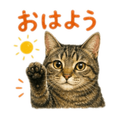 yukiringo_20260504201208