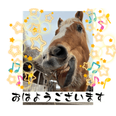 Catherine_20260504202959
