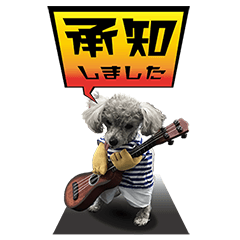 SANPON CHAN_2