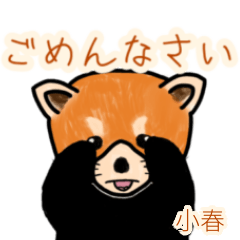 Koharu's lesser panda (2)