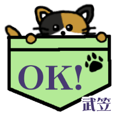 Takekasa's Pocket Cat's