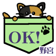 Nomiya's Pocket Cat's