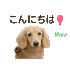 umi_Hachi
