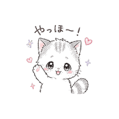 Omochi the Fluffy Cat