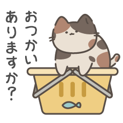 Over round cat 02