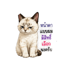 Love me Love my cat_20260428135700