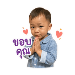 Seeda_20260428135826