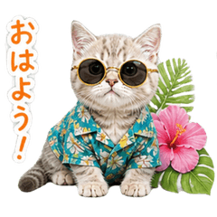 Everyday Use Stickers of Munchkin Cats