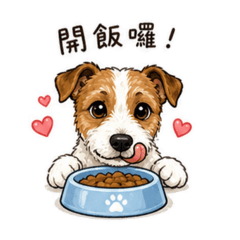 超可愛小Fifi