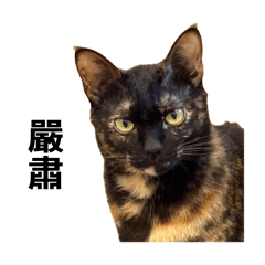 阿狸哥