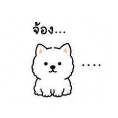 Shiba | Feelings Stickers Thai