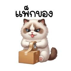 Thai-Korean_20260504034219