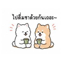 Shiba | Tea Time Stickers 2 Thai