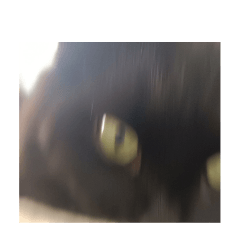 kriwost_20260504205236