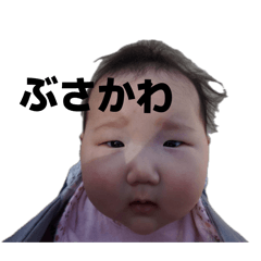 kamesan_20260504205215