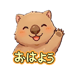 tonton13_20260504205313