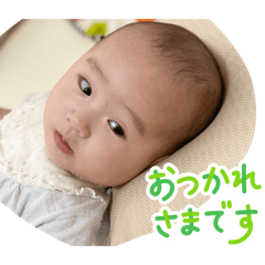 kanikama_20260504204927