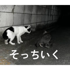 shinichi_20260504141009