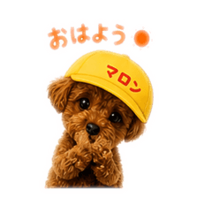 hina_20260504140423