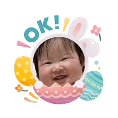 onigiri_4.5
