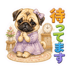 cats and dogs_20260504135812
