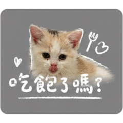 貓咪愛用貼圖
