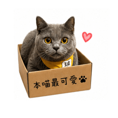 可魯泡泡與外星狗咪咪的動物園（波比）