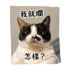 U小寶