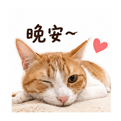 咪醬寶寶今天也很可愛