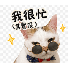 麻糬寶寶の日常