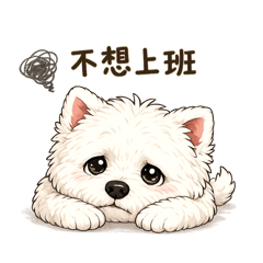 西高地白梗MM的上班生活