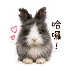 蹦啾Bonjour