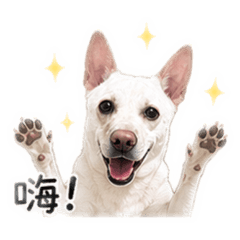 微黑的白-2