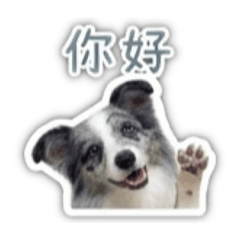 邊境界的傻妞