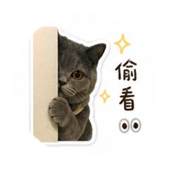 藍貓 胡麻醬表情包
