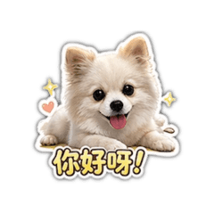杯狗日常語錄